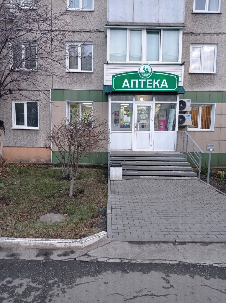 Губернский лекарь | Барнаул, ул. 80 Гвардейской Дивизии, 20, Барнаул